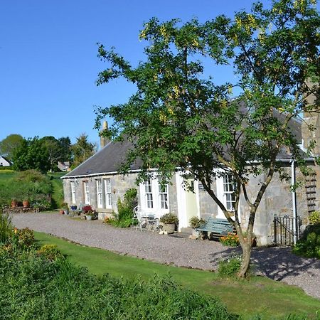 Balmungo Cottage B&B St Andrews Exterior foto