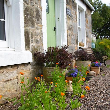 Balmungo Cottage B&B St Andrews Exterior foto