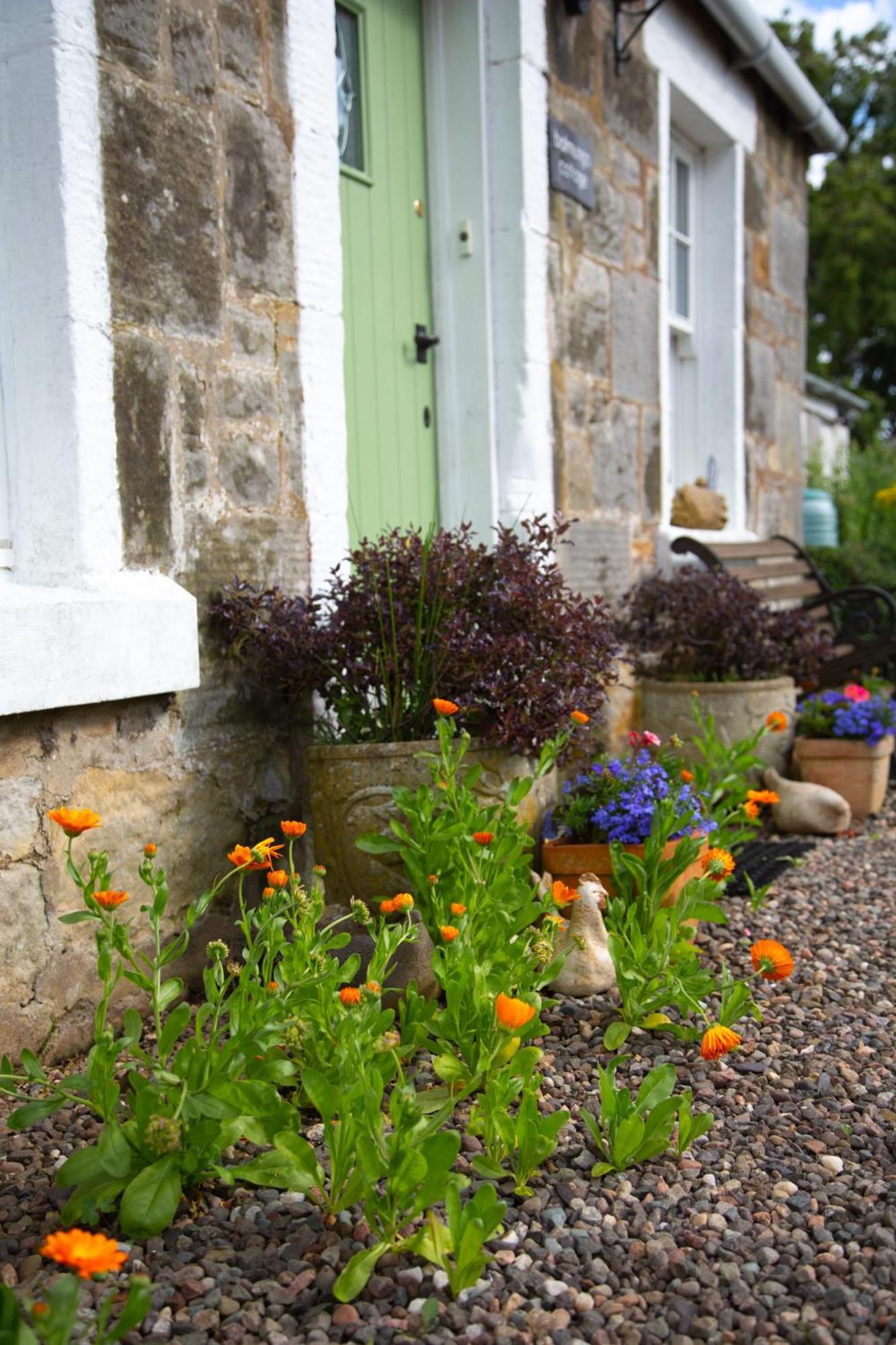 Balmungo Cottage B&B St Andrews Exterior foto